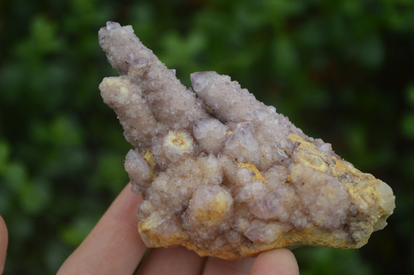 Natural Mixed Spirit Quartz Clusters  x 24 From Boekenhouthoek, South Africa - TopRock
