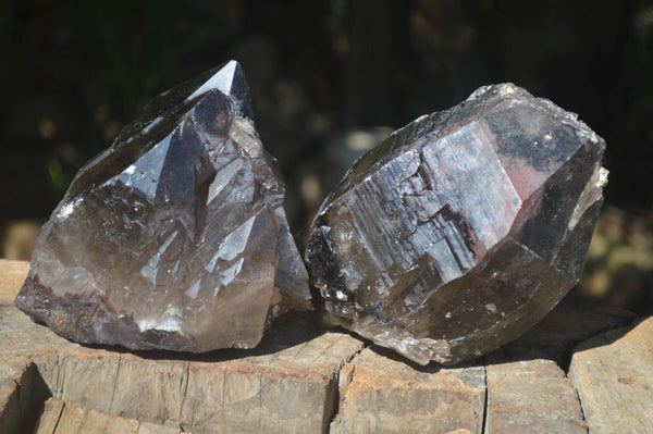 Natural Morion Smokey Quartz Crystals  x 2 From Mulanje, Malawi