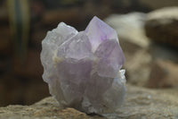 Natural Jacaranda Amethyst Crystals x 6 From Mumbwe, Zambia - Toprock Gemstones and Minerals 