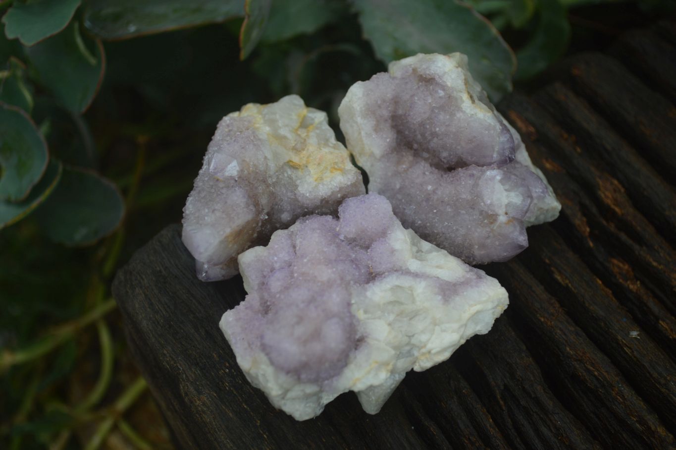 Natural Mixed Spirit Quartz Clusters  x 24 From Boekenhouthoek, South Africa - TopRock