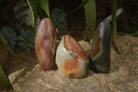 Polished Polychrome Jasper Standing Free Forms  x 3 From Madagascar - Toprock Gemstones and Minerals 