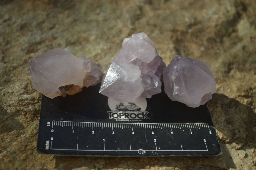 Natural Single Spirit Amethyst Quartz Crystals x 70 From Boekenhouthoek, South Africa - Toprock Gemstones and Minerals 