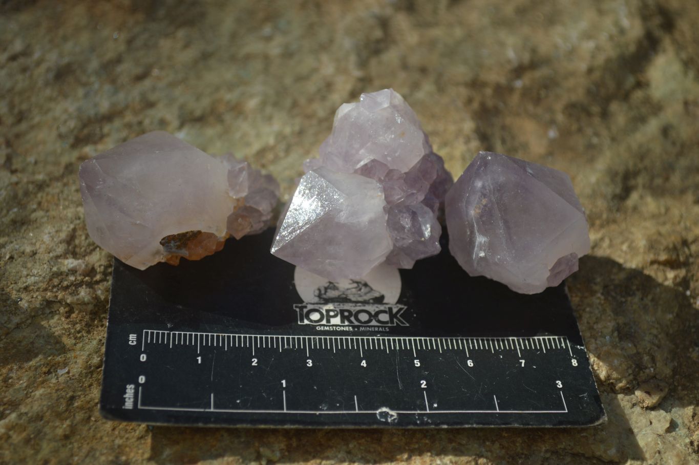 Natural Single Spirit Amethyst Quartz Crystals x 70 From Boekenhouthoek, South Africa - Toprock Gemstones and Minerals 