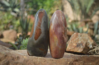 Polished Polychrome Jasper Standing Free Forms  x 3 From Madagascar - Toprock Gemstones and Minerals 