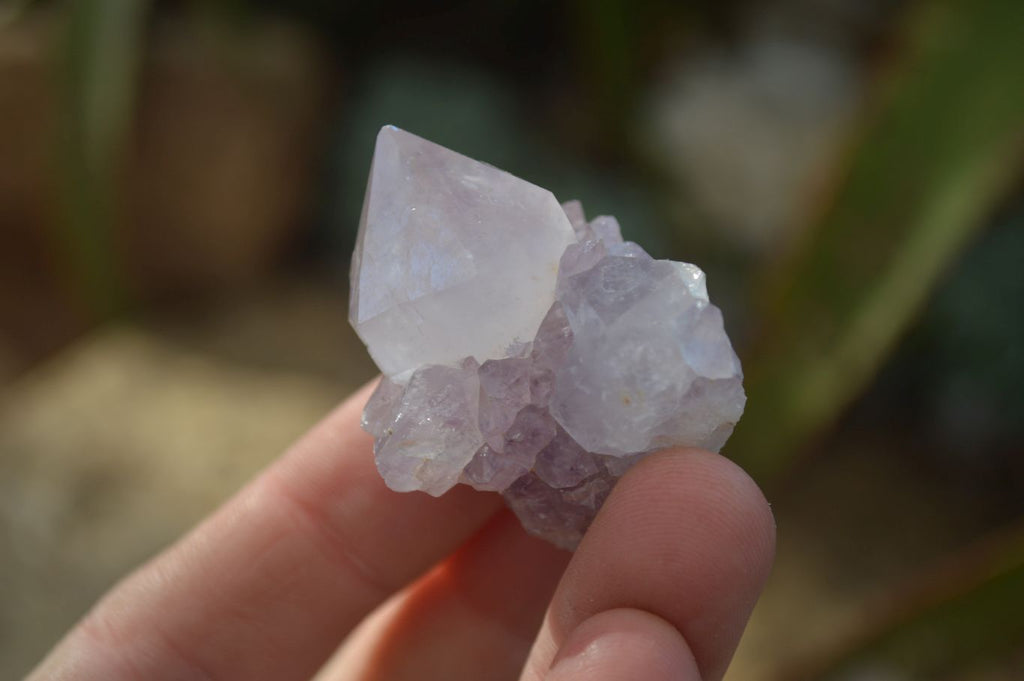 Natural Single Spirit Amethyst Quartz Crystals x 70 From Boekenhouthoek, South Africa - Toprock Gemstones and Minerals 