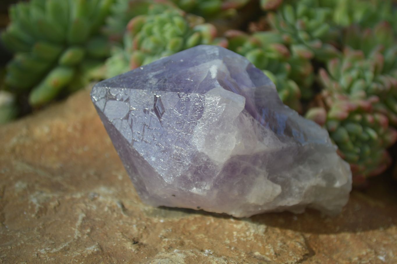 Natural Jacaranda Amethyst Crystals x 6 From Mumbwe, Zambia - Toprock Gemstones and Minerals 