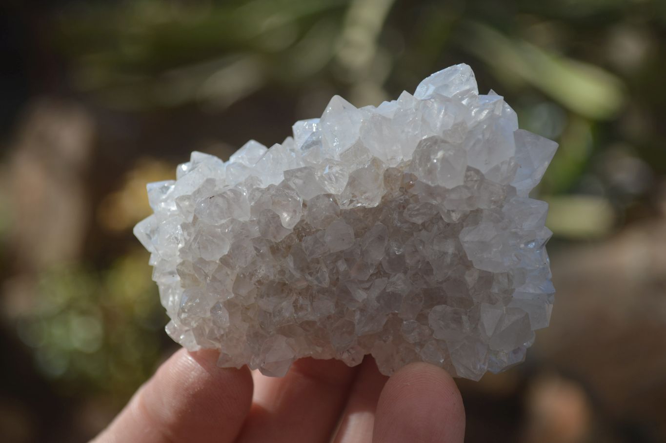 Natural Cactus Flower Spirit Quartz Specimens x 12 From Boekenhouthoek, South Africa - Toprock Gemstones and Minerals 