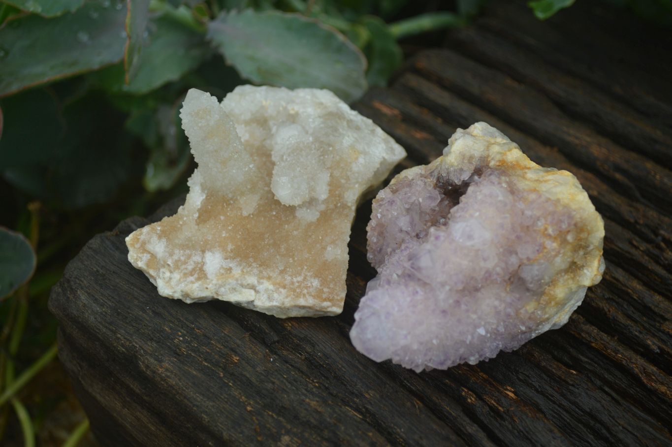 Natural Mixed Spirit Quartz Clusters  x 24 From Boekenhouthoek, South Africa - TopRock