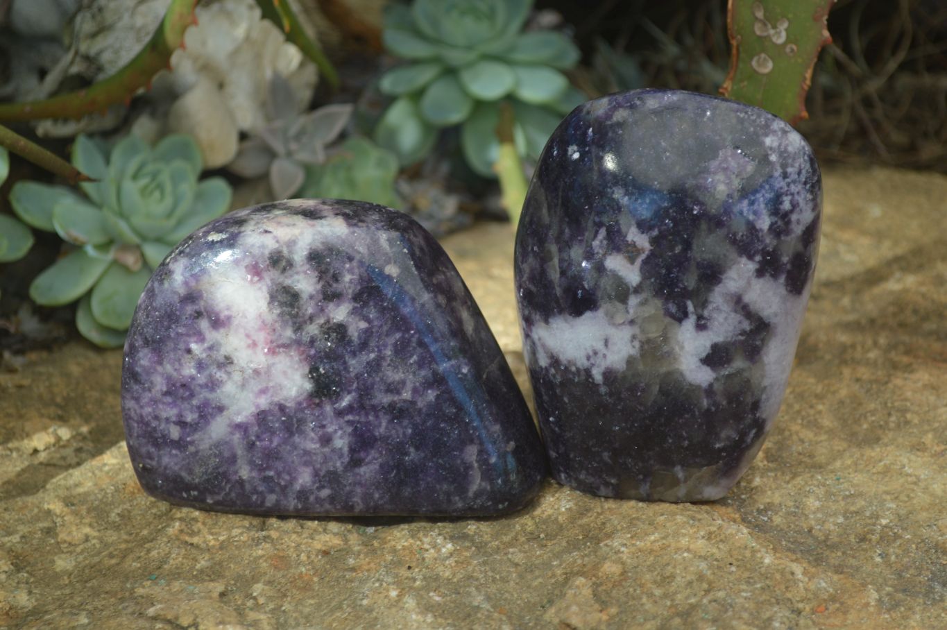 Polished Purple Lepidolite Standing Free Forms  x 4 From Madagascar - Toprock Gemstones and Minerals 