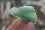 Natural Rough Jade Cobbed Specimens x 28 From Swaziland - Toprock Gemstones and Minerals 
