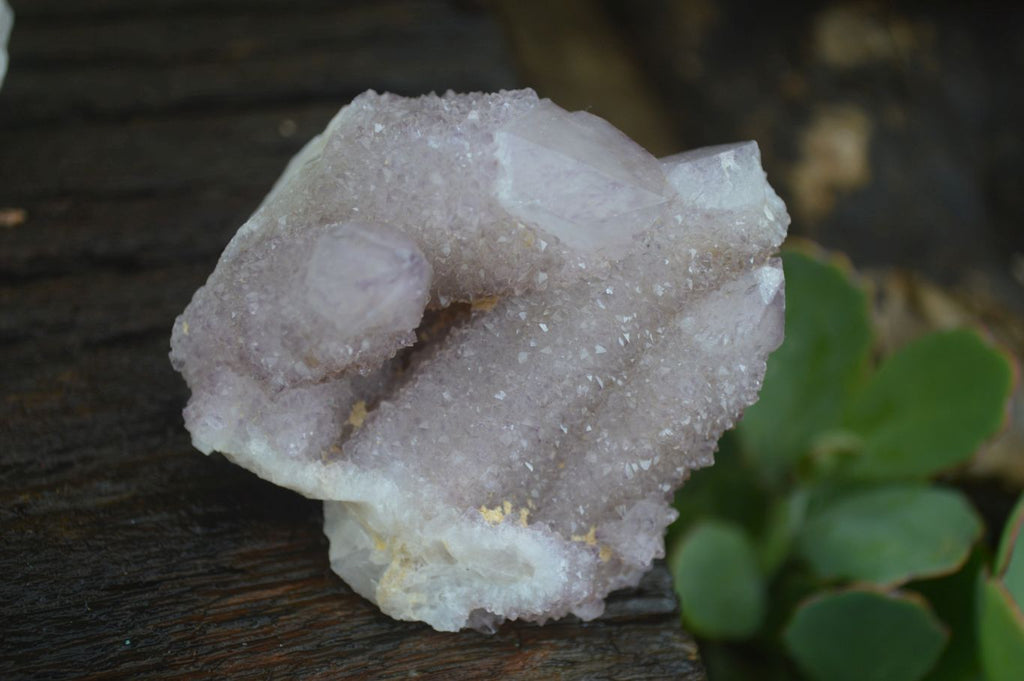 Natural Mixed Spirit Quartz Clusters  x 24 From Boekenhouthoek, South Africa - TopRock