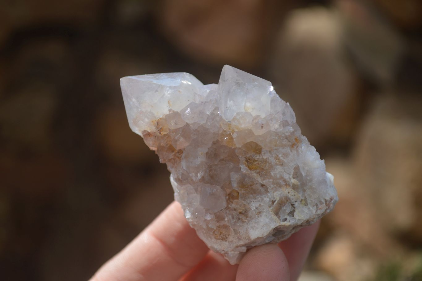 Natural Cactus Flower Spirit Quartz Specimens x 12 From Boekenhouthoek, South Africa - Toprock Gemstones and Minerals 