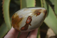 Polished Polychrome Jasper Standing Free Forms  x 3 From Madagascar - Toprock Gemstones and Minerals 