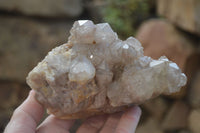 Natural Cascading Smokey Quartz Clusters x 2 From Congo - Toprock Gemstones and Minerals 