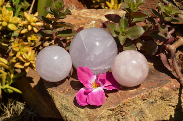 Polished Rare Blue Rose Quartz Spheres With Asterisms  x 3 From Madagascar - TopRock