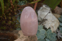 Polished Pink Rose Quartz Standing Free Forms x 2 From Ambatondrazaka, Madagascar - TopRock