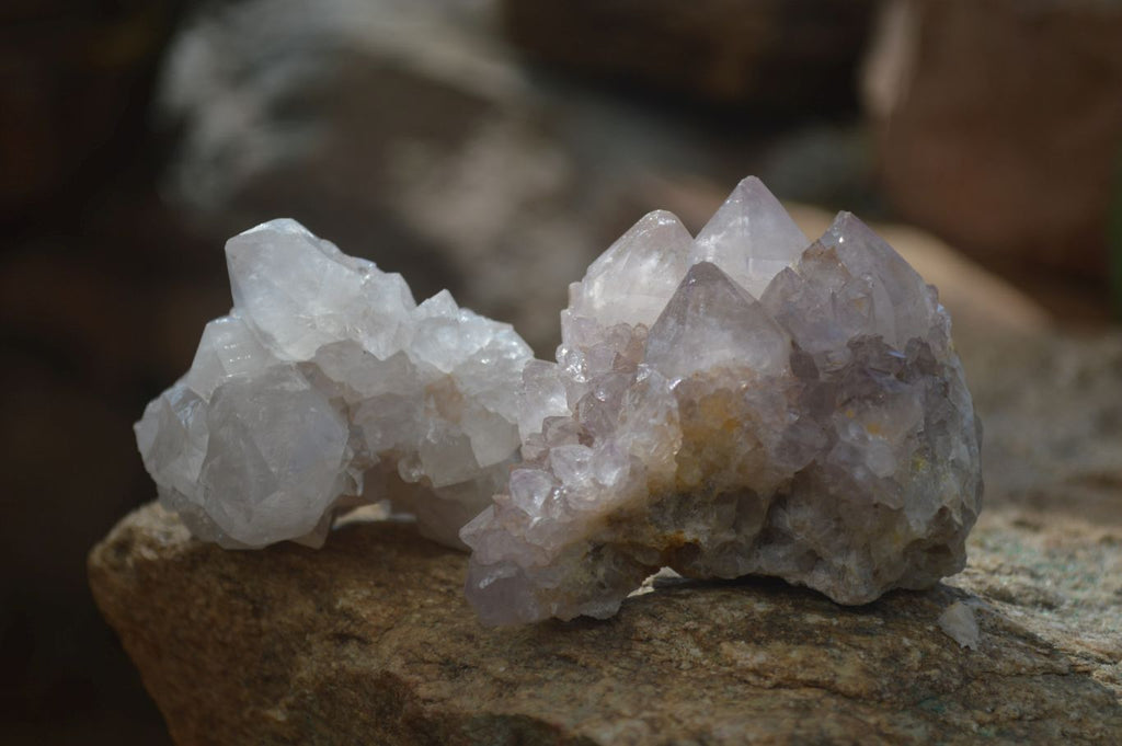Natural Cactus Flower Spirit Quartz Specimens x 12 From Boekenhouthoek, South Africa - Toprock Gemstones and Minerals 