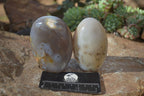 Polished Agate Standing Free Forms x 5 From Madagascar - Toprock Gemstones and Minerals 