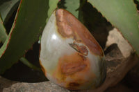 Polished Polychrome Jasper Standing Free Forms  x 3 From Madagascar - Toprock Gemstones and Minerals 
