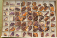 Natural Small Dark "Amethystos" Amethyst Clusters x 63 From Kwaggafontein, South Africa - TopRock