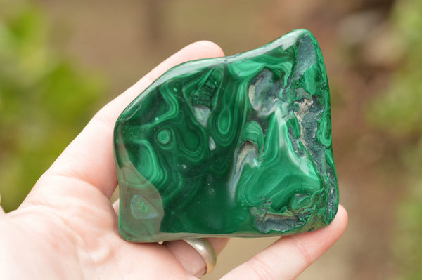 Polished Malachite Free Forms With Gorgeous Flower Patterns x 6 From Congo - TopRock