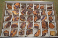 Natural Small Dark "Amethystos" Amethyst Clusters  x 35 From Kwaggafontein, South Africa - Toprock Gemstones and Minerals 