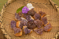 Natural Small Dark "Amethystos" Amethyst Clusters x 63 From Kwaggafontein, South Africa - TopRock