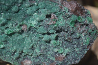 Natural Drusy Coated Ball Malachite On Dolomite Specimen  x 1 From Likasi, Congo - Toprock Gemstones and Minerals 