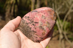 Polished Near Solid Pink Rhodonite Standing Free Forms x 6 From Ambindavato, Madagascar - TopRock