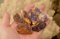 Natural Small Dark "Amethystos" Amethyst Clusters x 63 From Kwaggafontein, South Africa - TopRock
