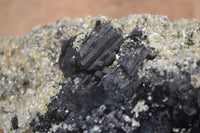 Natural Large Schorl Black Tourmaline Specimen x 1 From Erongo, Namibia - Toprock Gemstones and Minerals 