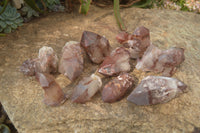Natural Red Hematoid Quartz Specimens x 12 From Karoi, Zimbabwe - Toprock Gemstones and Minerals 