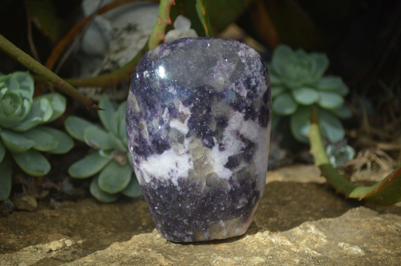 Polished Purple Lepidolite Standing Free Forms  x 4 From Madagascar - Toprock Gemstones and Minerals 