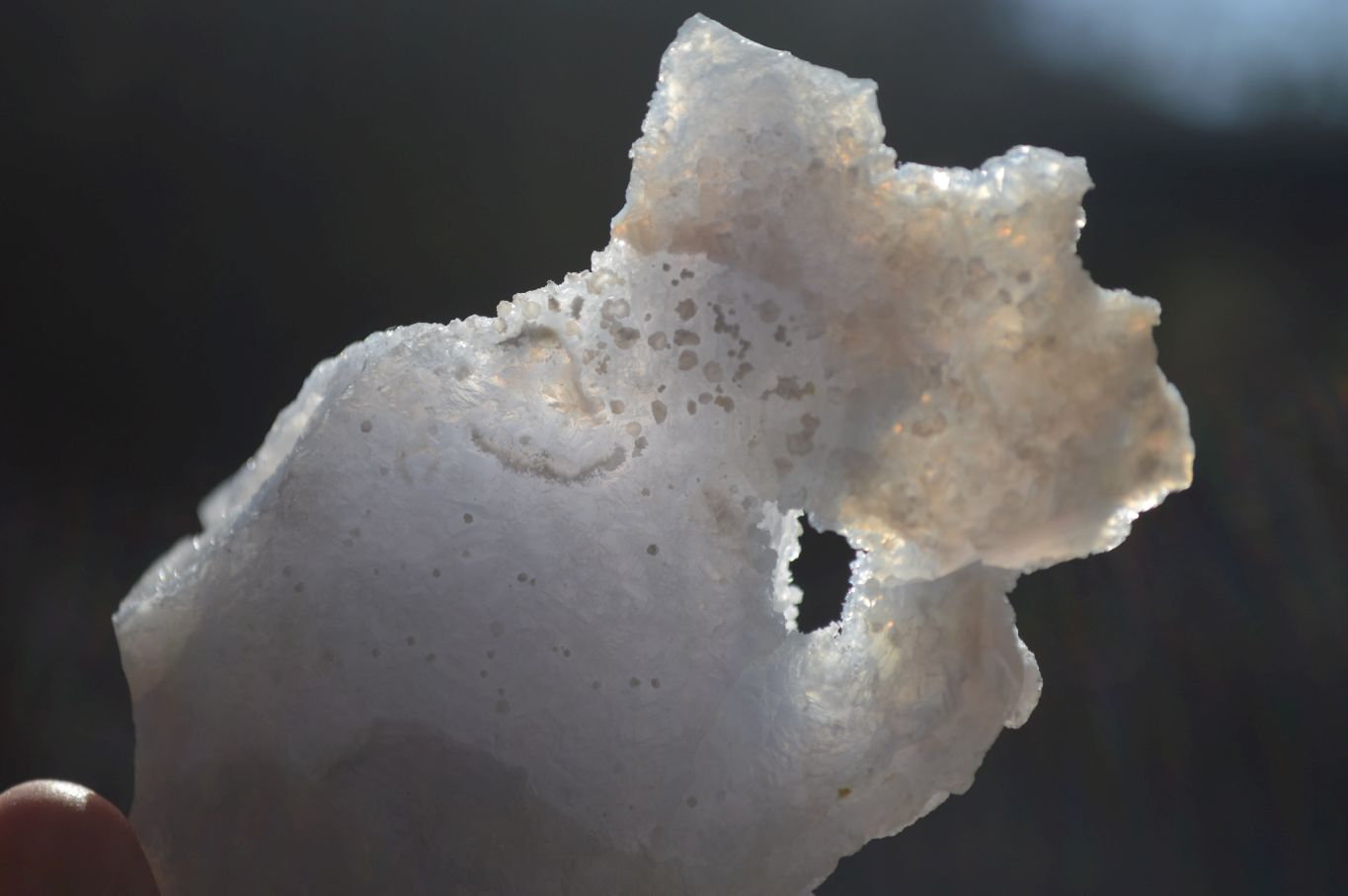 Natural Etched Blue Chalcedony Specimens  x 6 From Nsanje, Malawi - Toprock Gemstones and Minerals 
