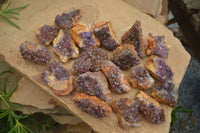 Natural Small Dark "Amethystos" Amethyst Clusters  x 35 From Kwaggafontein, South Africa - Toprock Gemstones and Minerals 