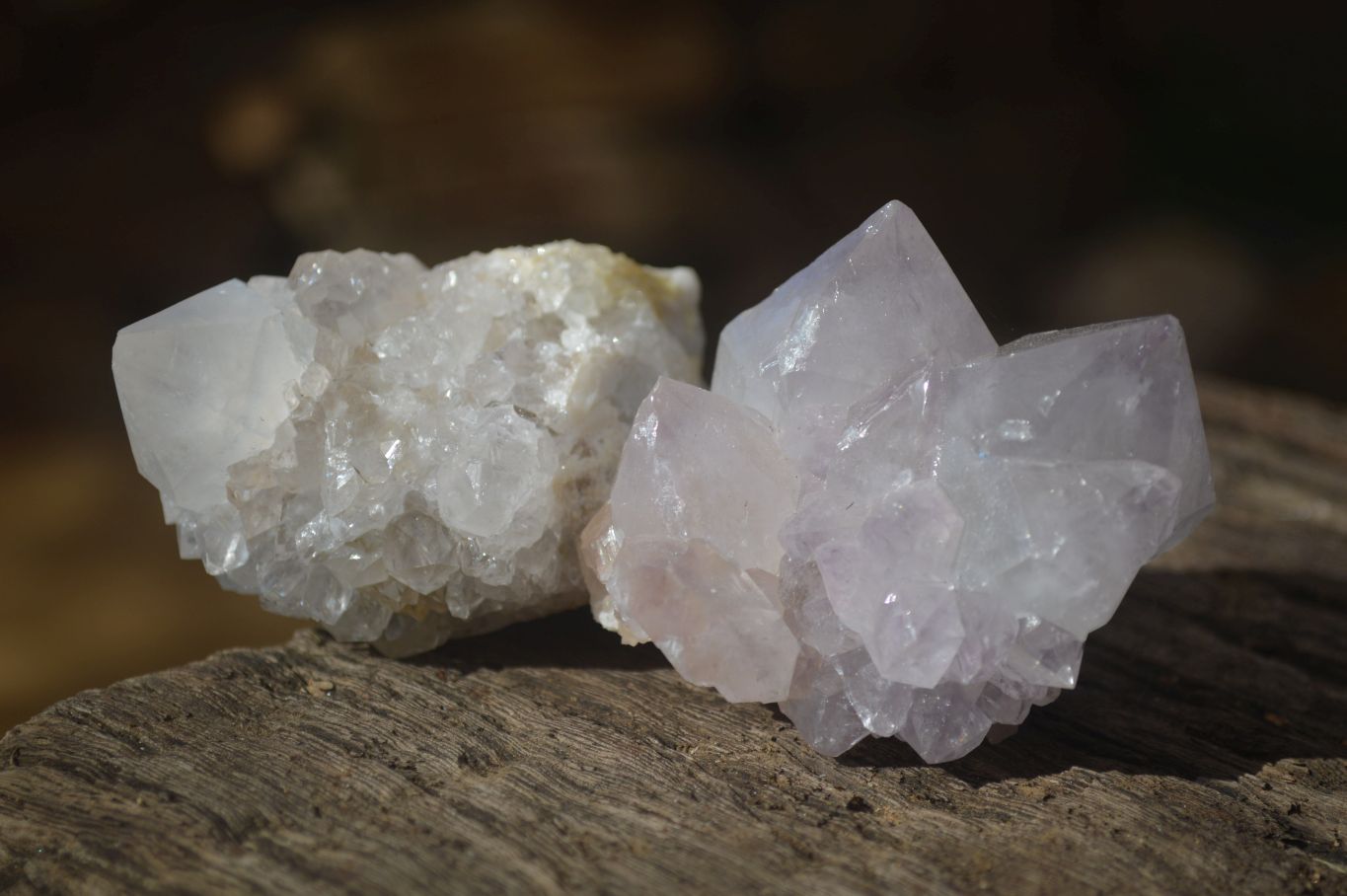 Natural Cactus Flower Spirit Quartz Specimens x 12 From Boekenhouthoek, South Africa - Toprock Gemstones and Minerals 