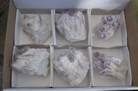 Natural Sugar Amethyst Clusters  x 6 From Solwezi, Zambia - Toprock Gemstones and Minerals 