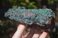 Natural Drusy Coated Ball Malachite On Dolomite Specimen  x 1 From Likasi, Congo - Toprock Gemstones and Minerals 