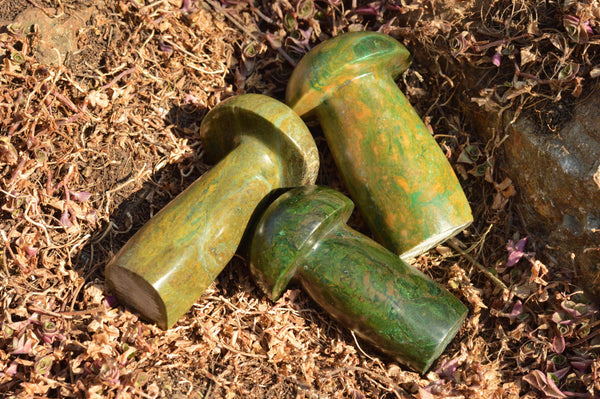 Polished Green Verdite Mushroom Carvings  x 6 From Zimbabwe - TopRock