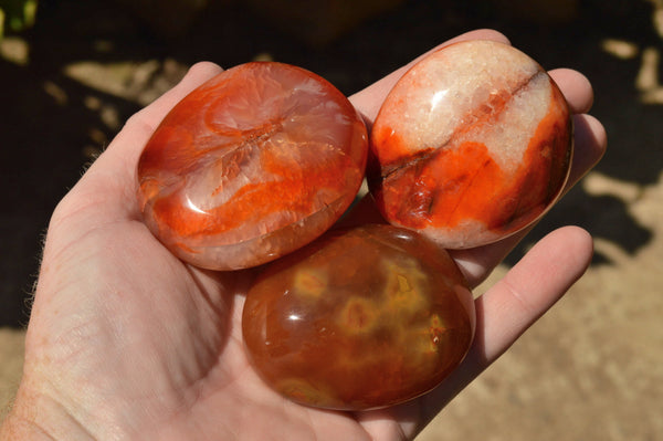 Polished Stunning Selection Of Carnelian Agate Palm Stones  x 12 From Madagascar - TopRock