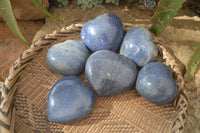 Polished Blue Lazulite Hearts x 6 From Madagascar