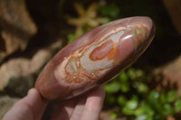 Polished Polychrome Jasper Standing Free Forms  x 3 From Madagascar - Toprock Gemstones and Minerals 