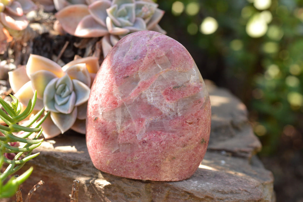 Polished Near Solid Pink Rhodonite Standing Free Forms x 6 From Ambindavato, Madagascar - TopRock