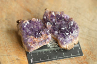Natural Amethyst & Basalt Geode Specimens  x 24 From Zululand, South Africa - TopRock