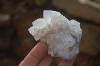 Natural Cactus Flower Spirit Quartz Specimens x 12 From Boekenhouthoek, South Africa
