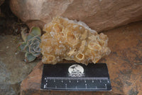 Natural Limonite Quartz Clusters x 12 From Solwezi, Zambia - Toprock Gemstones and Minerals 