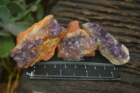 Natural Small Dark "Amethystos" Amethyst Clusters  x 35 From Kwaggafontein, South Africa - Toprock Gemstones and Minerals 