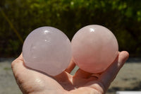 Polished Rare Blue Rose Quartz Spheres With Asterisms  x 3 From Madagascar - TopRock