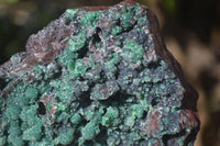 Natural Drusy Coated Ball Malachite On Dolomite Specimen  x 1 From Likasi, Congo - Toprock Gemstones and Minerals 