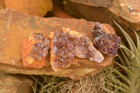 Natural Small Dark "Amethystos" Amethyst Clusters x 63 From Kwaggafontein, South Africa - TopRock